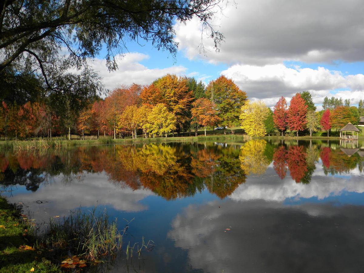 Cedar Garden Bed & Breakfast Underberg Luaran gambar